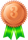 Bronze Medal